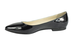 Balerini Dama 249 Lac Negri