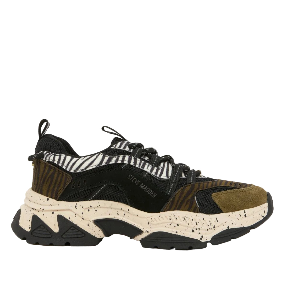 Sneakers Animates Dama Steve Madden